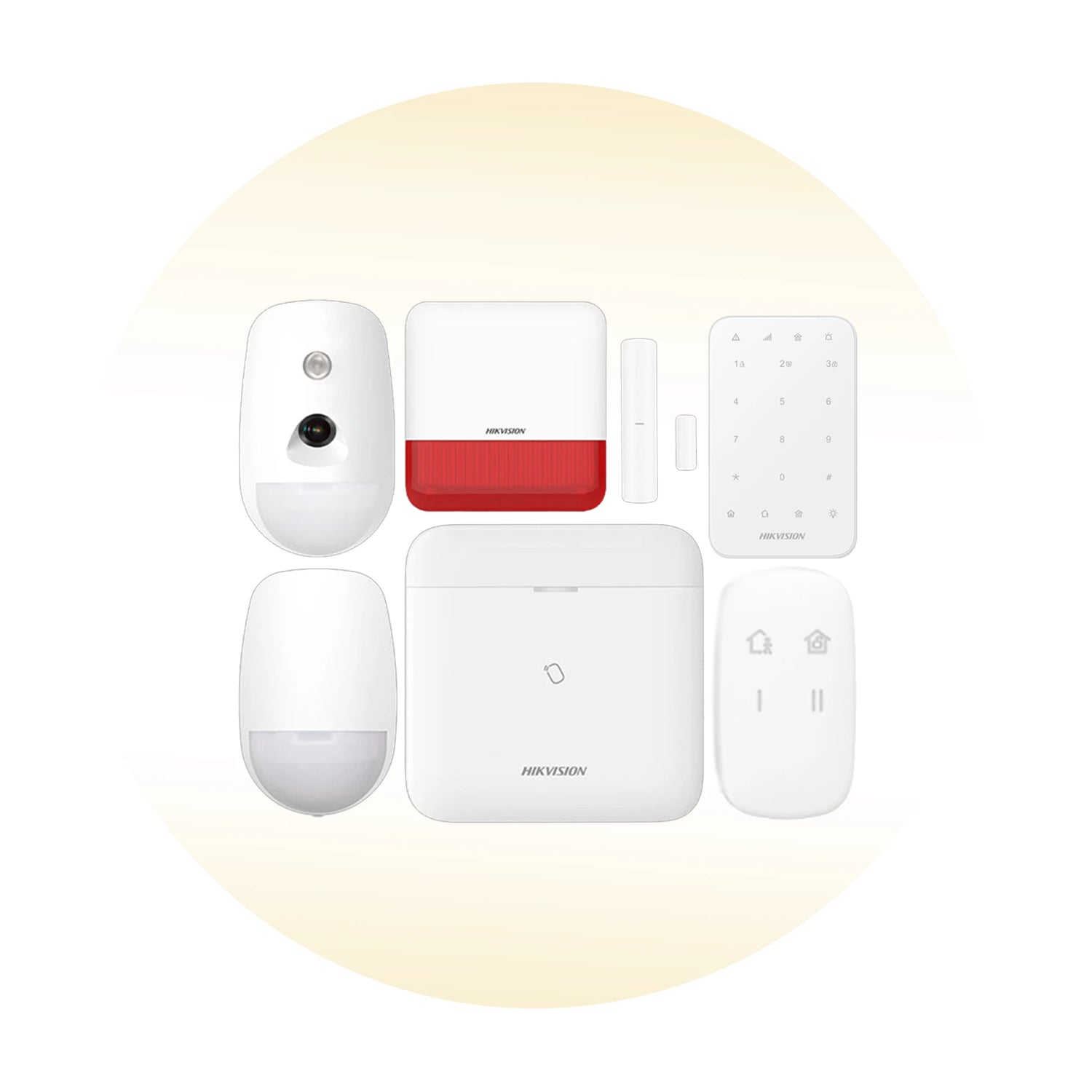 Security Alarm and Protection Systems