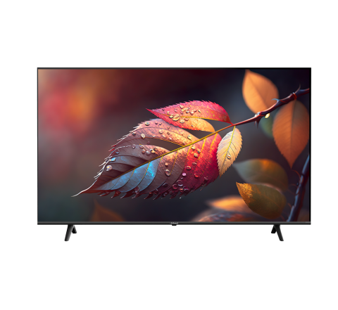 G-Guard 65" 4K Smart