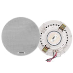 DSPPA Audio System DSPPA 6.5 Inch Frameless Ceiling Speaker (Ohm) | DSP6011L