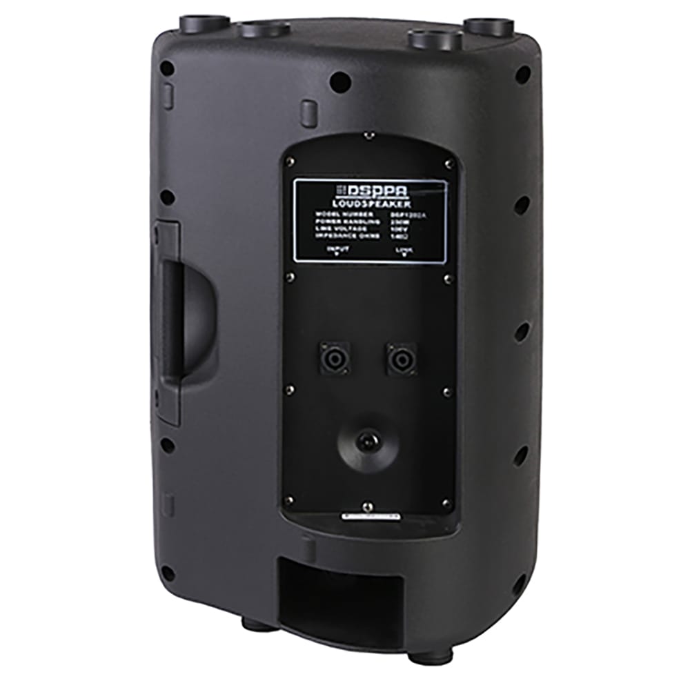 مكبر صوت خارجي بقوة 250 واط من DSPPS / DSP1202A - متجر نصر