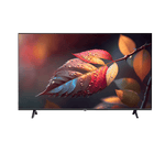 G-Guard Screen G-Guard 65" 4K Smart Cedra | Free Delivery