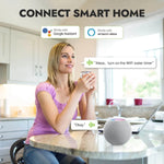 RainPoint Smart Home RainPoint WiFi Water Timer Kit (Valve + Smart Plug (EU) Socket)